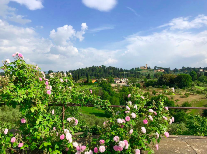 Giardino delle rose Firenze